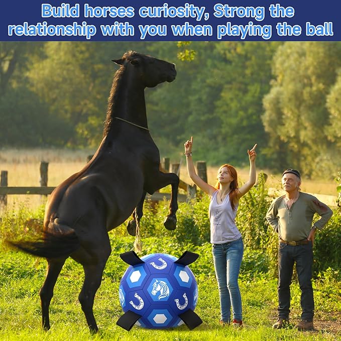 QDAN Herding Dog Balls Horse Ball, 18 inch Horse Toys Herding Ball for Dogs, Large Giant Ball Toys for Australian Shepherd Dog Toys, Blue