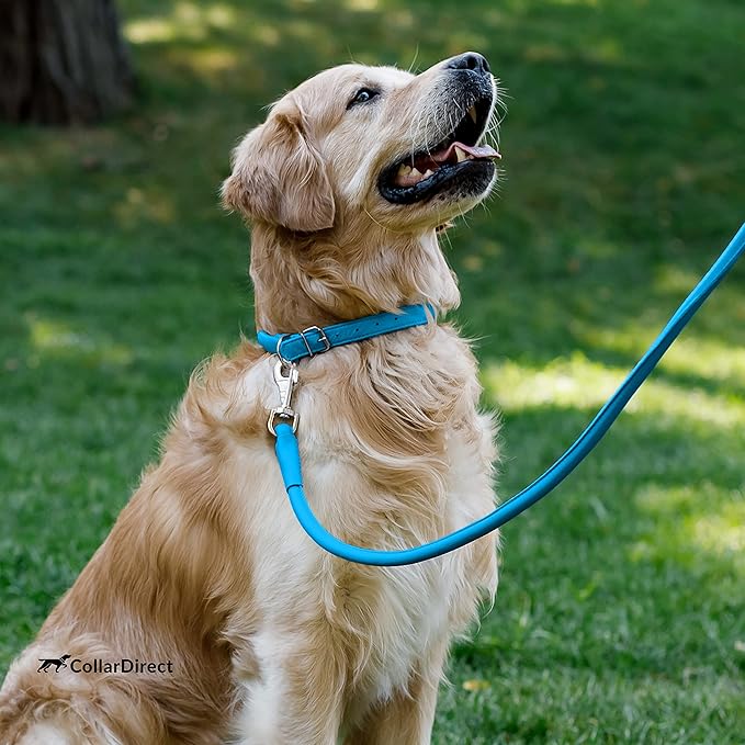 CollarDirect Rolled Leather Dog Collar, Soft Padded Round Puppy Collar, Handmade Genuine Leather Collar Dog Small Large Cat Collars 13 Colors (16-20 Inch, Blue Textured)'