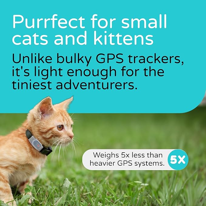 Tabcat V2 Cat & Kitten Tracker - More Accurate Than GPS - No Monthly Fee or Subscription - Includes 2 Homing Tags - Up to 500ft Range - Small & Lightweight Tags Perfect to Find Indoor & Outdoor Cats