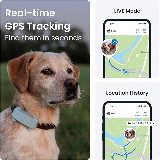 Tractive GPS Dog Tracker (2025 Release) | Real-time Pet Location Tracker | Health & Wellness Alerts | Virtual Fence for Dogs | Bark Monitoring | Dog Collar Attachment (Mint)