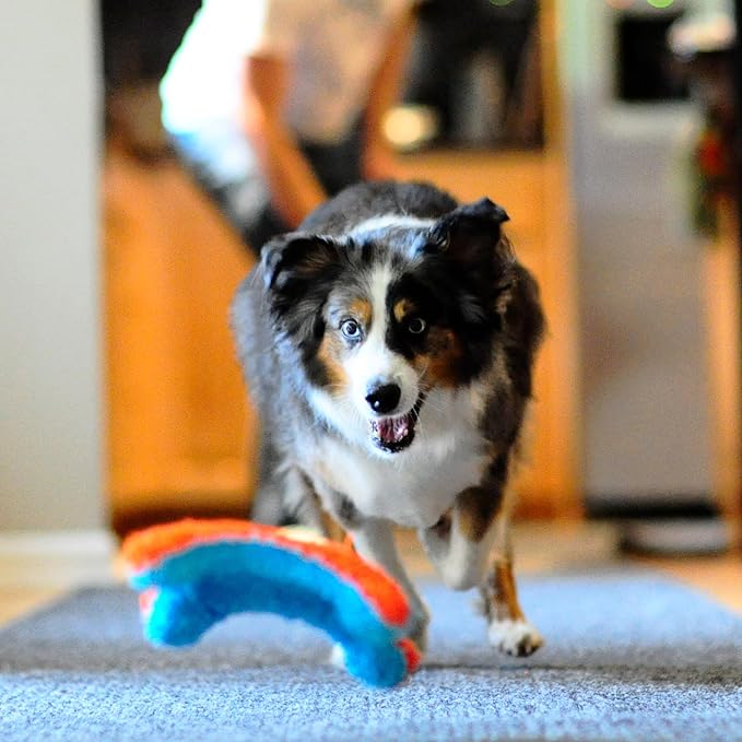 Chuckit! Indoor Fetch Squirrel Dog Toy (9 Inch), Orange and Blue