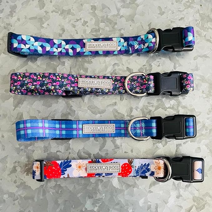 Lucky Love Dog, Comfortable, Soft, Cute Female Dog Collar for Medium Dogs, Black & Purple Floral Print, Adjustable Nylon Collar, Primrose, Medium