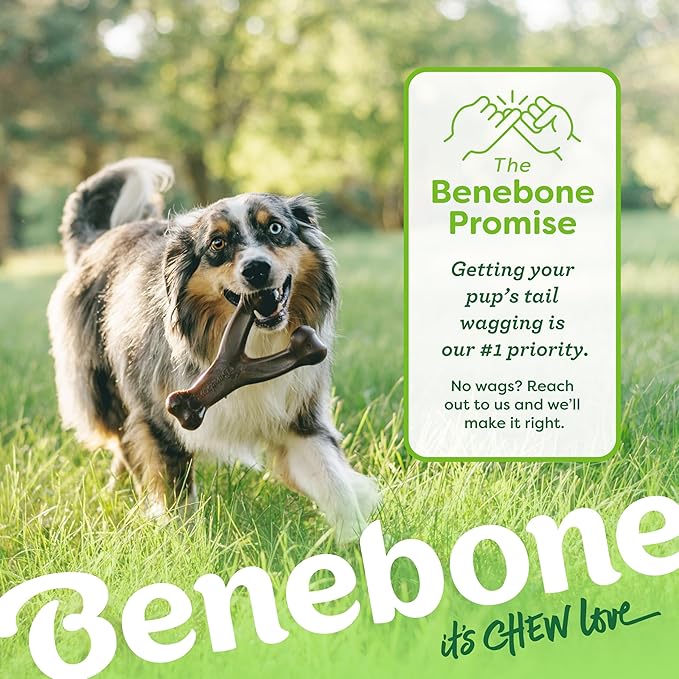 Benebone 2-pack Wishbone/Dental Durable Dog Chew Toys, Dog Toys for Aggressive Chewers, Real Bacon, Made in USA, Medium