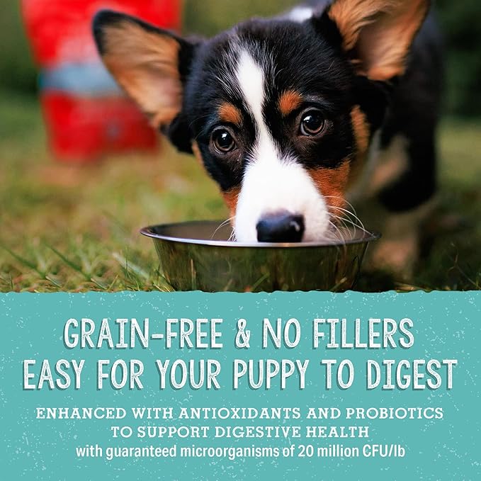 Stella & Chewy's Freeze Dried Raw Meal Mixers – Crafted for Puppies – Grain Free, Protein Rich Perfectly Puppy Beef & Salmon Recipe – 18 oz Bag