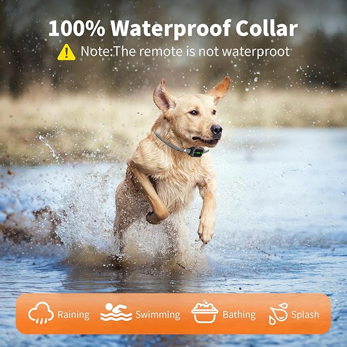 Shock Collar for Dogs, 3300FT Dog Training Collar, for Small, Medium and Large Dogs, 4 Training Modes, Dog Shock Collar with Remote Control, Rechargeable and Waterproof, E Collar for Dogs