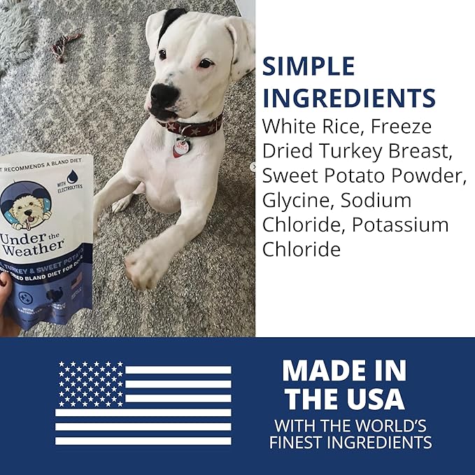 Under the Weather Bland Diet for Dogs | Easy to Digest for Sick Dogs |Always Be Ready| Contains Electrolytes - All Natural Freeze Dried 100% Human Grade Meats| 1 Pack- Rice Turkey & Sweet Potato - 6oz