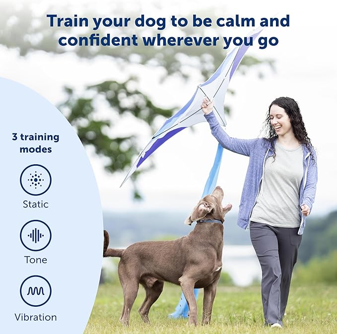 PetSafe 900 Yard Remote Training Collar – 2 Dog Kit – Tone, Vibration & 15 Levels of Safe & Humane Static Stimulation, Longest Range Option, Train Off Leash Dogs, Waterproof, Durable, Rechargeable