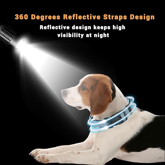 2 Pack Reflective Dog Collar with Safety Locking Buckle, Adjustable Soft Breathable Comfortable Nylon Pet Collar for Small, Medium and Large Dogs, Gray, XS
