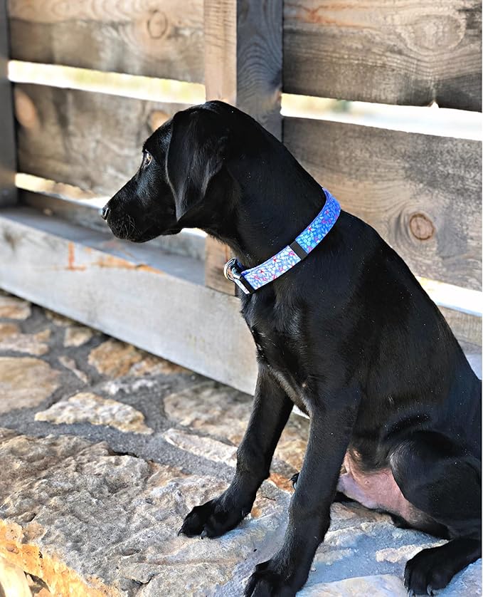 Lucky Love Dog Collar, Cute Winter Dog Collars for Medium Dogs, Blue Snowflake Dog Collar for Male and Female Dogs, Part of Purchase Donated to Dog Rescue - (Winterblue Collar, M)
