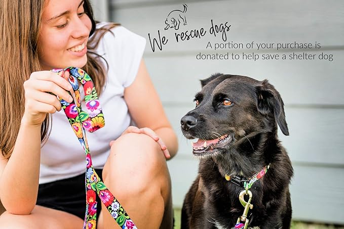 Lucky Love Dog - Easy Click Buckle Dog Collar with Leash Set Combo, Durable & Comfortable Collar for Male & Female Dogs, Pet Collar for Small to Large Dogs, Secure Fit - Blackbird Combo, Small