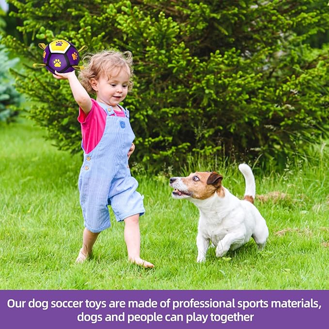 QDAN Dog Toys Soccer Ball - Durable Dog Balls for Small Dogs, Puppy Birthday Gifts, Dog Tug Toy with Strap for Tug of War (5 Inch)