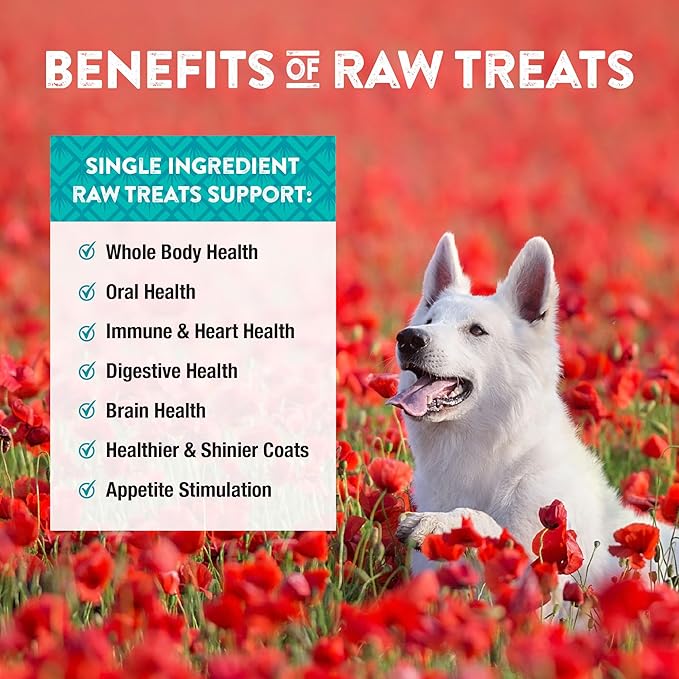 Northwest Naturals Raw Rewards Freeze-Dried Chicken Breast Treats for Dogs and Cats - Bite-Sized Pieces - Healthy, 1 Ingredient, Human Grade Pet Food, Natural - 10 Oz (Pack of 2)