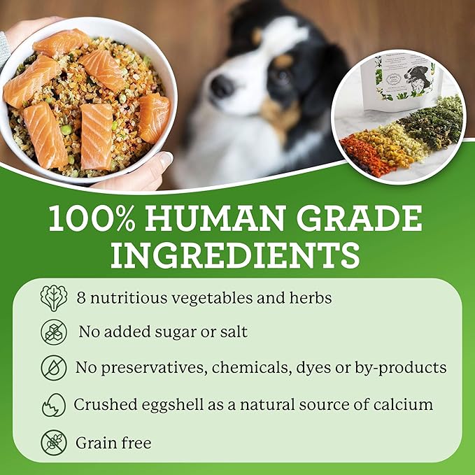Dr. Harvey's Veg-to-Bowl Dog Food, Human Grade Dehydrated Base Mix for Dogs, Grain Free Holistic Mix (3 Pound)