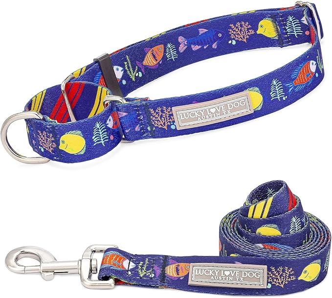 Lucky Love Dog Tropical Fish Pattern Martingale Collar and Leash Set, Summer Themed No Slip Collars for Medium Dogs, Great for Whippets, Greyhounds, and More (Mackey, Medium - Combo)