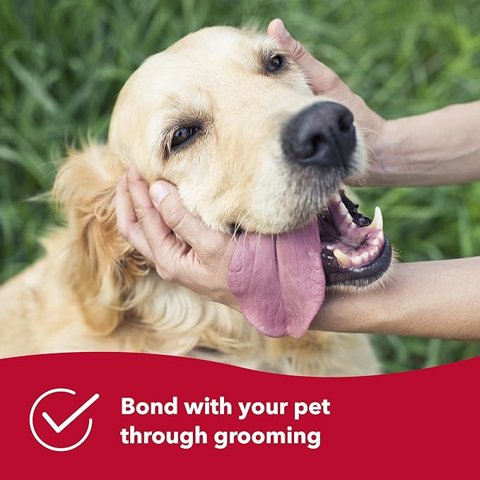 Coastal Pet Safari Dog Soft Slicker Brush - Dog Grooming Brush for Shedding - for Dogs with Short, Medium and Long Hair - Medium - 6.25" x 3.5"