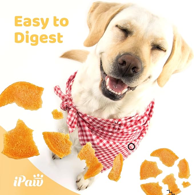 Dog Treats for Puppy Training, All Natural Human Grade Dog Treat, Hypoallergenic, Easy to Digest (Chicken Chips), 2 Packs