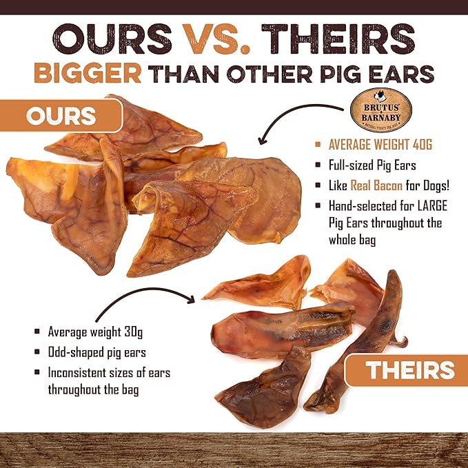 100% Natural Whole Pig Ear Dog Treat - 12 Pack Our Healthy Pig Ears Are Easy To Digest, Chemical & Hormone Free Thick Cut For Aggressive Chewers, Great Small Or Large Dogs