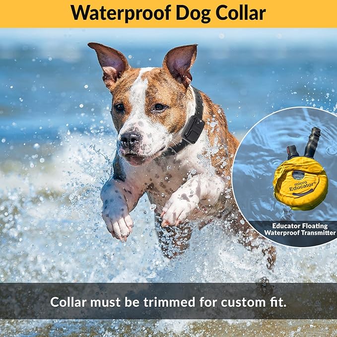 E-Collar – Educator ET-302-1/2 Mile Waterproof Remote Dog Training Collar Includes Premium Finger Clicker Trainer, 100 Programmable Levels + Vibration + Light + Sound