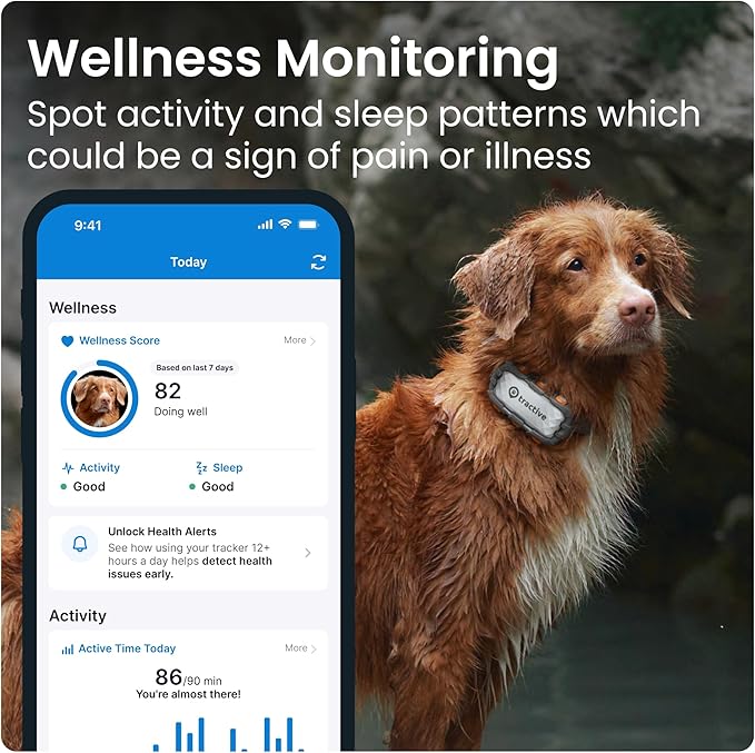 Tractive XL GPS Dog Tracker (50 lbs+) | Real-time Pet Location Tracker | Health & Wellness Alerts | Virtual Fence for Dogs | Dog Collar Attachment (Adventure Edition)