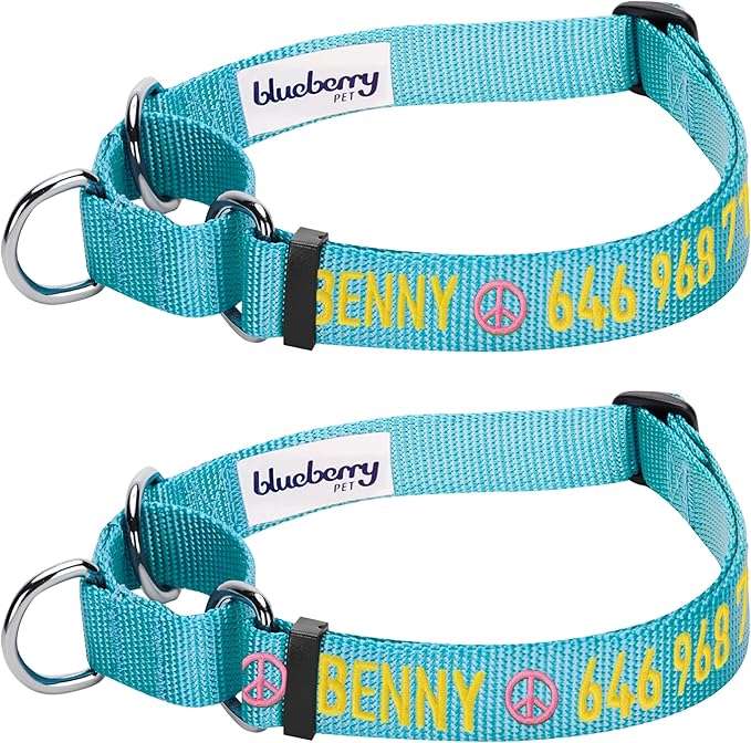 Blueberry Pet Essentials Personalized Martingale Safety Training Dog Collar, Turquoise, Large, Adjustable Customized ID Collars for Dogs Embroidered with Pet Name & Phone Number