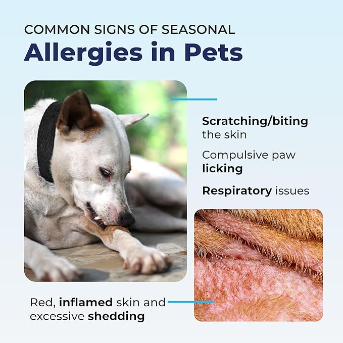 Vetnique Dermabliss 3-in-1 Medicated Dog Wipes - Relief for Itchy Skin, Allergies & Odor Control, Gentle No-Sting Formula, Antihistamine & Hydrocortisone Paw Wipes for Dogs & Cats 50 Count