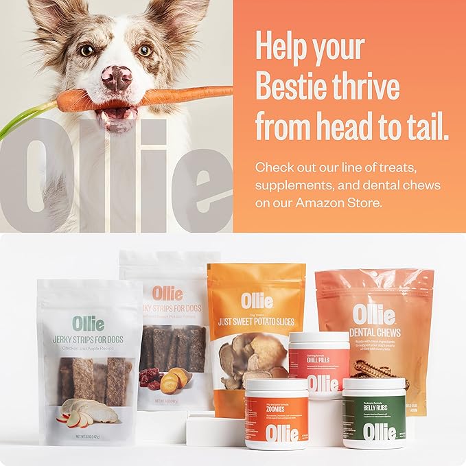 Ollie Dental Chews for Large Dogs, 4 Pack, Fresh Breath, Teeth Cleaning Treats, Sticks for Dog Oral Care, with Parsley and Cinnimon, for Pups 51 lbs and Above