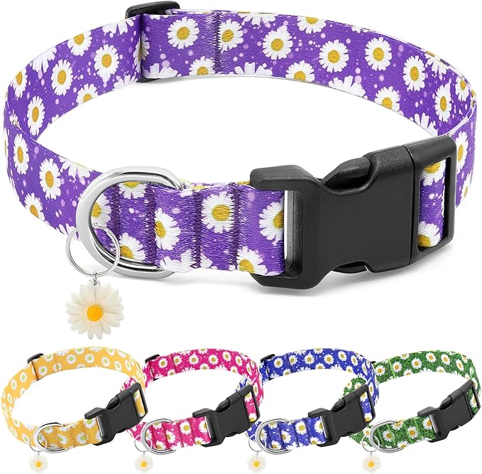 BiPawTi Floral Dog Collar for Girl Boy - Dog Collars Cute Flower Puppy Collar for Extra Small Dog, Soft Adjustable Dogs Collar for Small Dogs with Pretty Daisies Charms (XS, Purple)