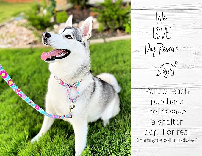 Lucky Love Dog Collars, Cute X-Large Dog Collars for Female Dogs, Part of Purchase Donated to Rescue (Extra Large, Caroline, Collar)