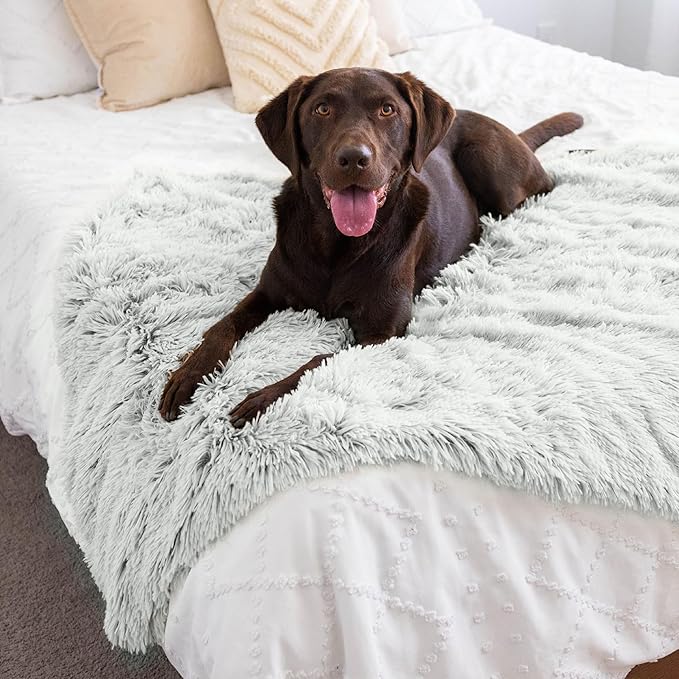 Best Friends by Sheri Calming Shag Dog Blanket, Frost Gray, 40" x 50"