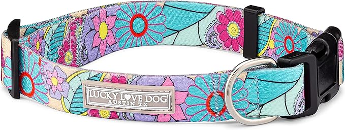 Lucky Love Dog Collars, Cute X-Large Dog Collars for Female Dogs, Part of Purchase Donated to Rescue (Extra Large, Caroline, Collar)