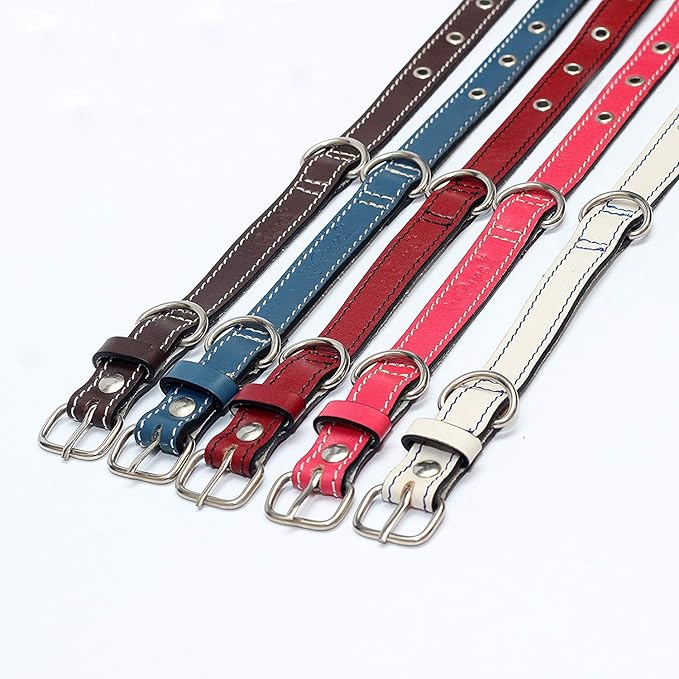 Premium Leather Collars with Stainless Steel Buckles (12"-15", White)