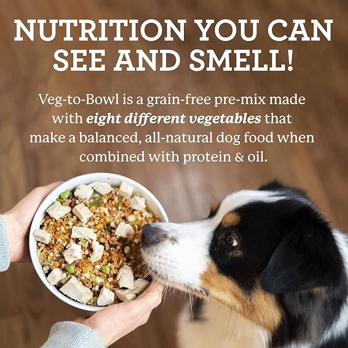 Dr. Harvey's Veg-to-Bowl Dog Food, Human Grade Dehydrated Base Mix for Dogs, Grain Free Holistic Mix (3 Pound)