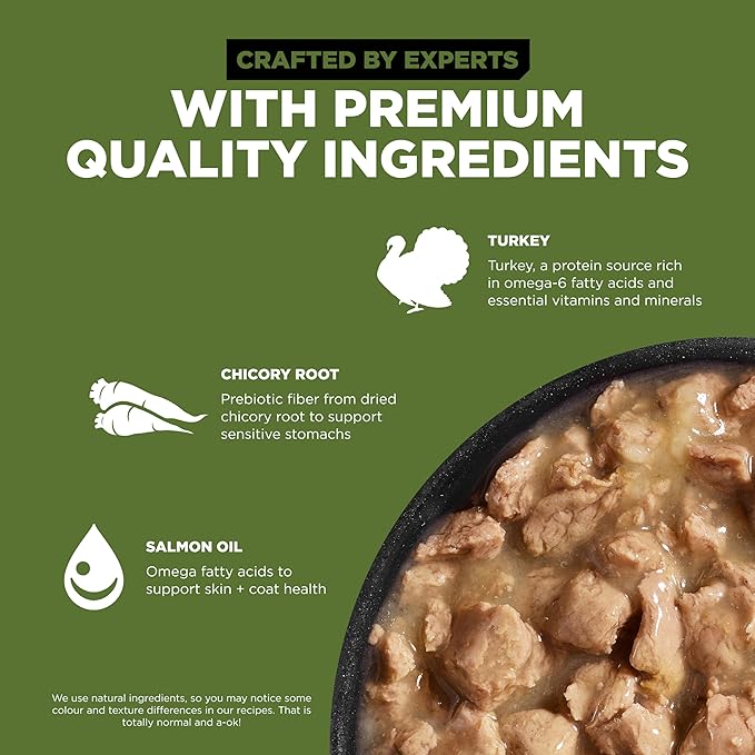 Go! Solutions Sensitivities Limited Ingredient, Grain-Free Wet Dog Food, Shredded Turkey Recipe for Sensitive Stomach, 12.5 oz