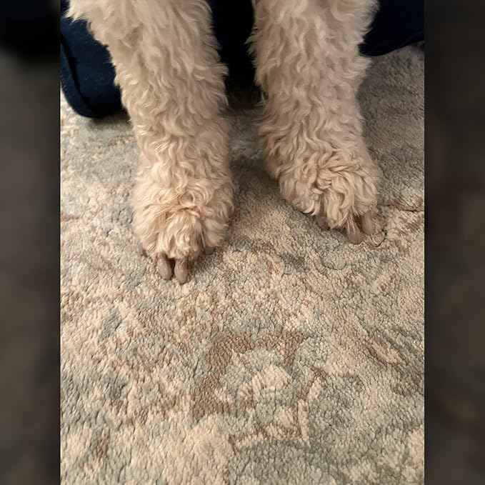Mag's Paw Grips - Toe Grips for Senior Dogs - Anti-Slip Traction on Hardwood Floors - Nail Wraps for Dogs Under 100lbs