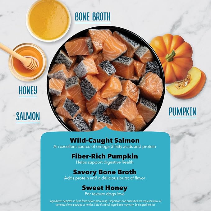 Chewy Strips Dog Treats, Salmon, High Protein Dog Treats, 4oz
