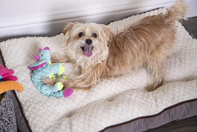 goDog Dinos Frills Squeaky Plush Dog Toy, Chew Guard Technology - Teal, Small