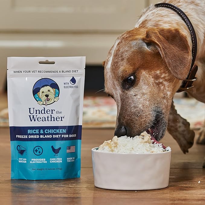 Under the Weather Bland Diet for Dogs | Easy to Digest for Sick Dogs | Always Be Ready | Contains Electrolytes - All Natural Freeze Dried 100% Human Grade Meats | 2 Pack - Chicken, Rice - 6oz