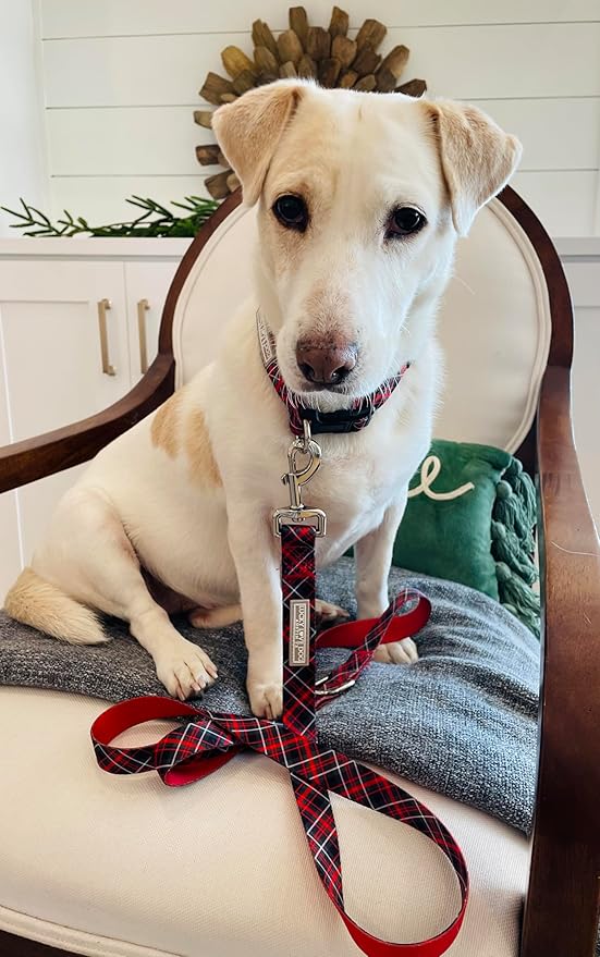 Lucky Love Dog Collar and Leash Set, Beautiful Evergreen Dog Collar, Vivid Berry Plaid Dog Collar for Boy and Girl Dogs - (Extra Large, Heywood Combo)