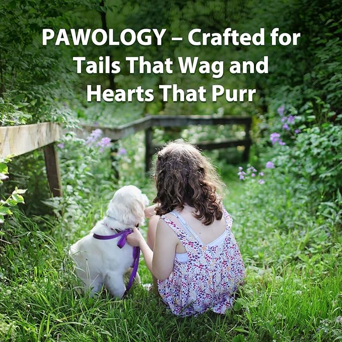 Wire Dog Crate Large 42 inches w/Divider Double Door,Heavy Duty, Collapsible and Portable Folding Metal Kennel, Removable Tray, Indoor/Outdoor,Black