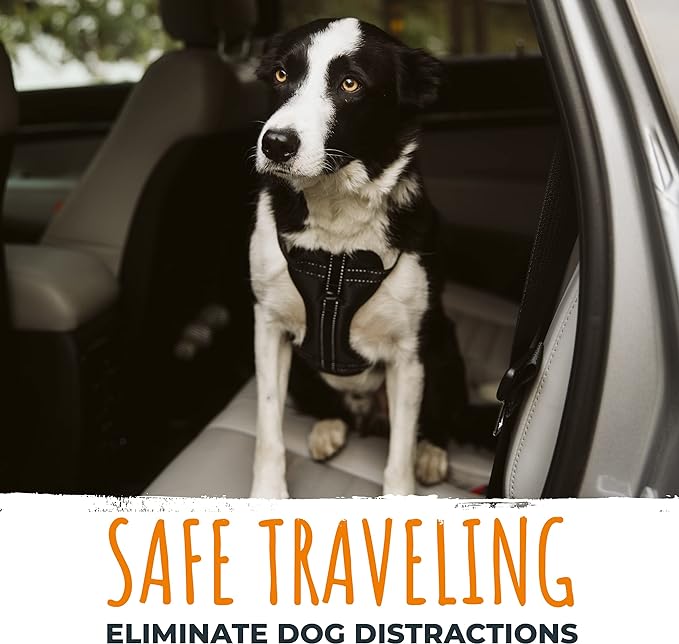 Mighty Paw Dog Car Safety Belt - Dog Seatbelt Ensures Pet Protection While Driving - Seatbelt for Dogs for Car - Dog Vehicle Accessory - Dog Car Seat Belt Attachment - Car Leash Restraint System