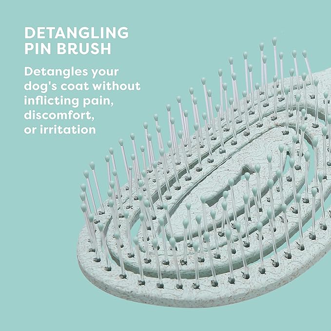 BioSilk for Pets Eco-Friendly Detangling Pin Brush for Dogs in Mint Green | Easy to Hold Ergonomic Handle Dog Brushes, Wet or Dry Dog Hair Brush, Light Blue (FF12806),Gray/Black