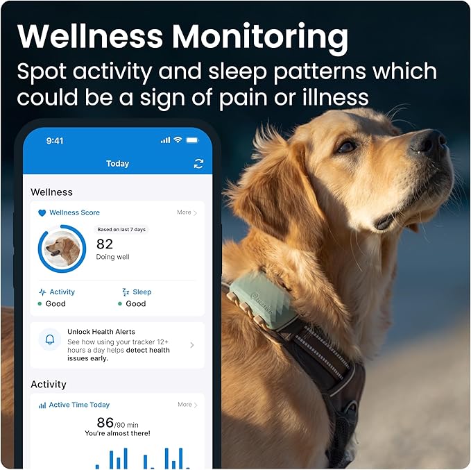 Tractive XL GPS Dog Tracker (50 lbs+) | Real-time Pet Location Tracker | Health & Wellness Alerts | Virtual Fence for Dogs | Dog Collar Attachment (Green)
