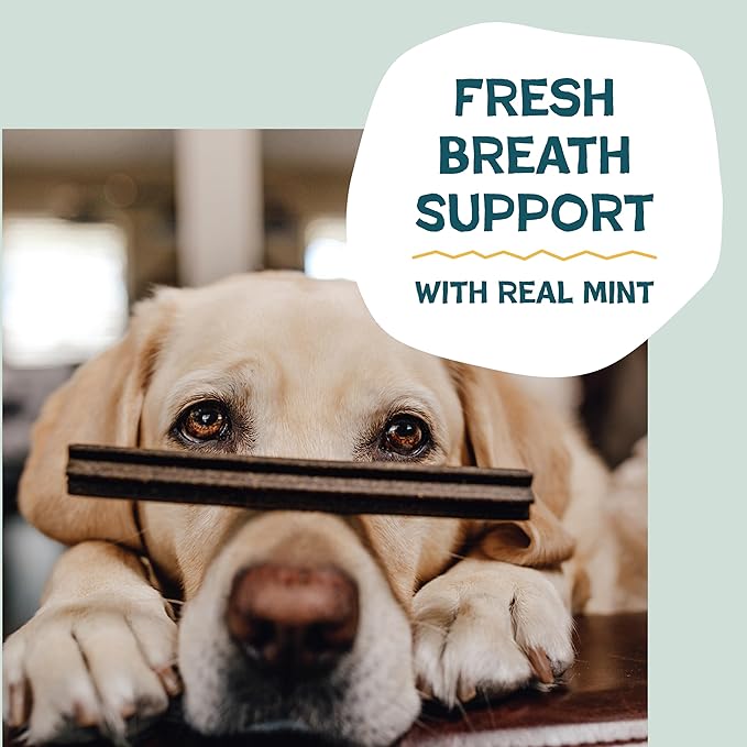 Shameless Pets Banana Bone-Anza Dental Treats for Dogs - Dental Sticks with Hip & Joint Support for Teeth Cleaning & Fresh Breath - Grain, Corn & Soy Free (32 Sticks)