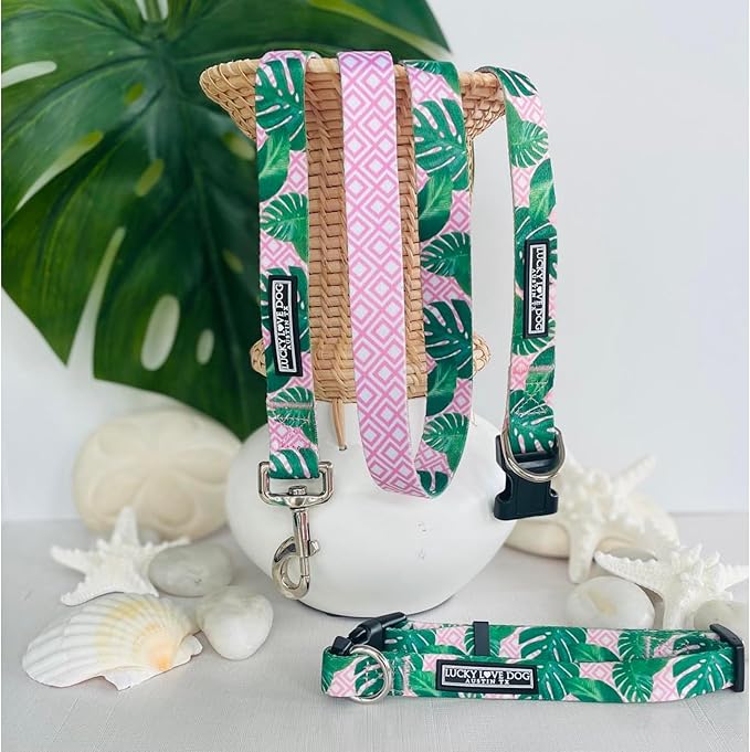 Lucky Love Dog, Tropical Dog Collar for Female Male Dogs, Comfortable & Soft, Vivid Pink Dog Collar - (X-Small, Laguna Collar)
