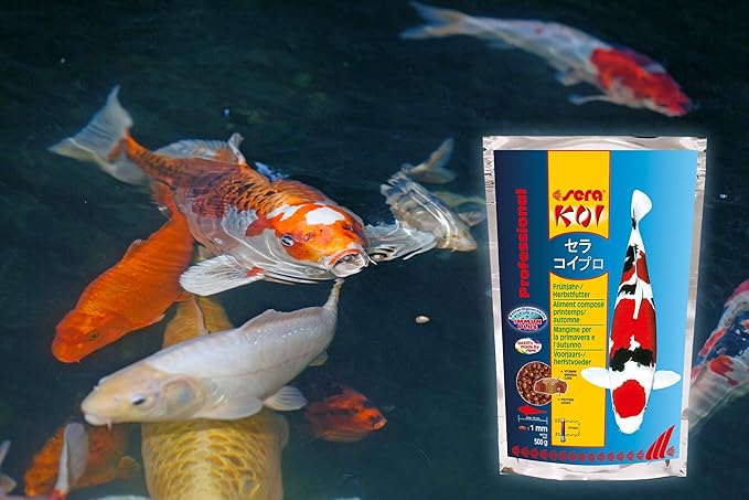 sera Koi Professional Spring & Fall Food 15.43lb| Floating Pellets for Immune Support & Condition | for Temperatures Below 63°F | Enriched with Vitamins & Omega Fatty Acids