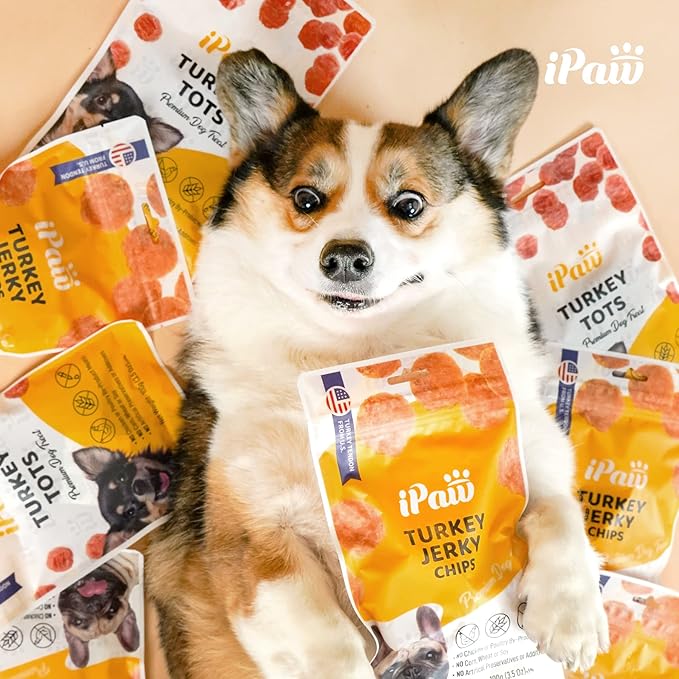 Dog Treats for Puppy Training, All Natural Human Grade Soft Dog Treat with Probiotics, Hypoallergenic, Easy to Digest (Chicken)