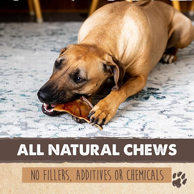 Mighty Paw Half Pig Ears for Dogs - All Natural Single Ingredient Pig Ear Treat - Better Than Rawhide Snacks for Puppies and Large Dogs - A Better Treat Dog Will Love - Dog Toys Compatible Chews