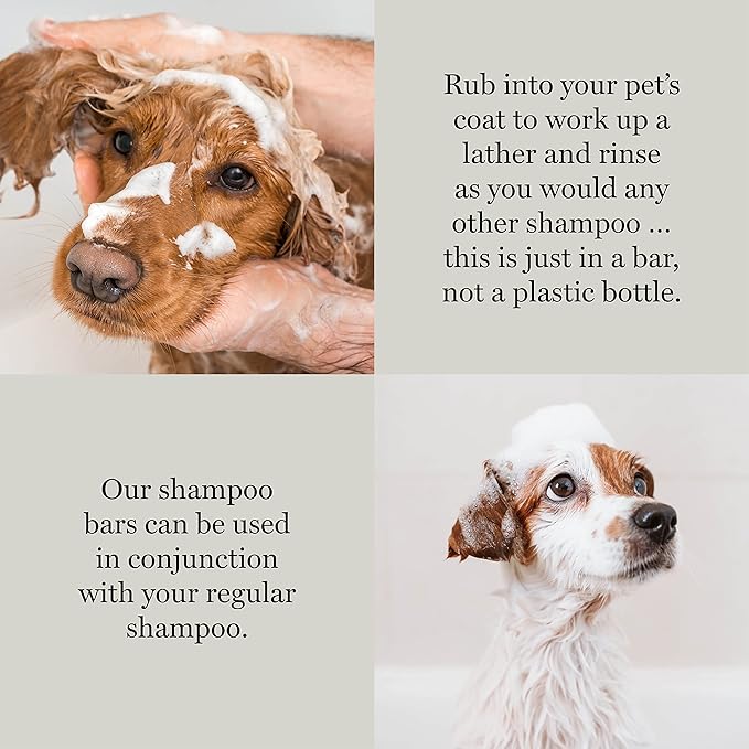 Be:Clean Deep Cleaning Dog Shampoo Bar – 110g – Tea Tree & Green Tea Formula for Glossy Coat & Odor Removal – Natural, Long-Lasting Pet Wash – Approx. 25 Uses