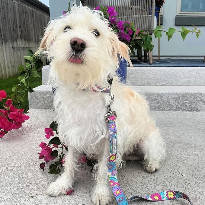 Lucky Love Dog Collars, Vivid Flower Pattern Dog Collars for Small Female Dogs, Spring & Summer Floral Themed Print, Caroline, Small