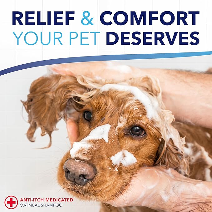 TropiClean OxyMed Dog Shampoo for Allergies and Itching , Medicated Oatmeal Shampoo for Dry Itchy Skin, Seborrhea, & Hot Spots, Cat Safe, 20oz.